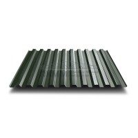 Профнастил C21-0.5-1000 Viking E RAL6007