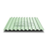 Профнастил C21-0.5-1000 Norman RAL6019
